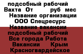 подсобный рабочий . Вахта. От 30 000 руб./мес. › Название организации ­ ООО Спецресурс › Название вакансии ­ подсобный рабочий - Все города Работа » Вакансии   . Крым,Красногвардейское